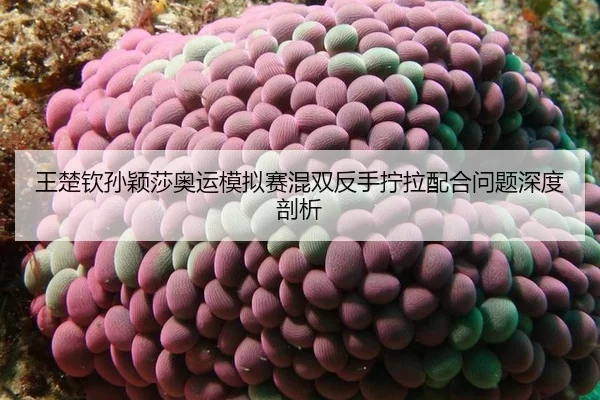 wang-chu-qin-sun-ying-sha-ao-yun-mo-ni-sai-hun-shuang-fan-shou-ning-la-pei-he-wen-ti-shen-du-pou-xi-2-798.jpg