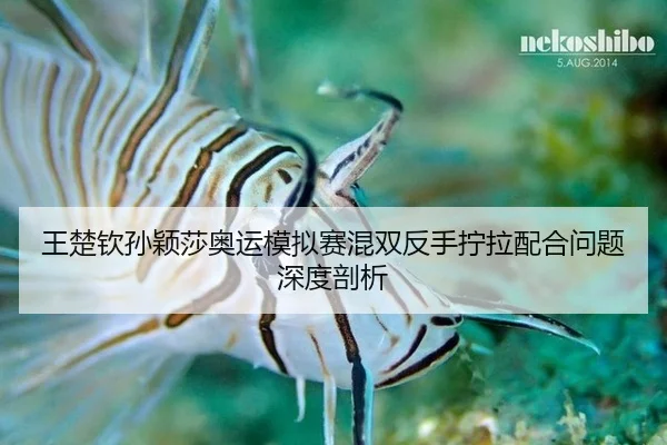 wang-chu-qin-sun-ying-sha-ao-yun-mo-ni-sai-hun-shuang-fan-shou-ning-la-pei-he-wen-ti-shen-du-pou-xi-3-698.jpg