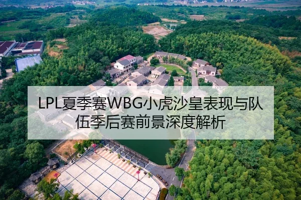 LPL夏季赛WBG小虎沙皇表现与队伍季后赛前景深度解析