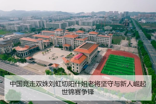 中国竞走双姝刘虹切阳什姐老将坚守与新人崛起世锦赛争锋