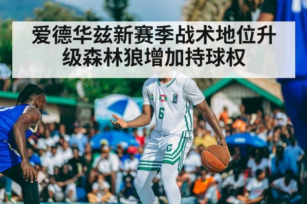 爱德华兹新赛季战术地位升级森林狼增加持球权