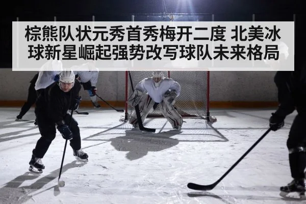 ice hockey rink action