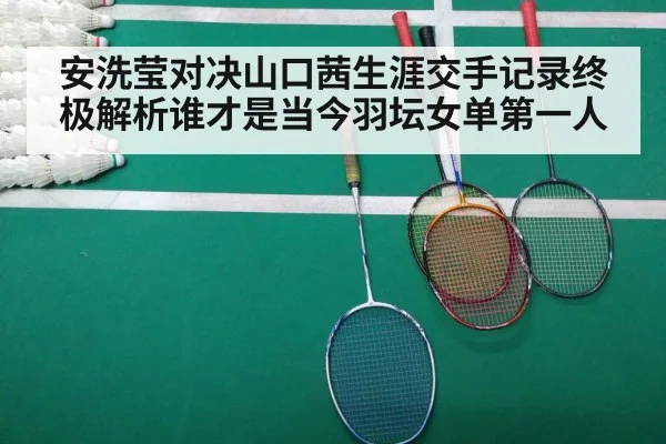 badminton match court